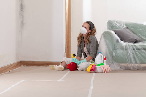Reliable Mold Cleanup contractor in Flagtown, NJ by Cheap Mold Removal